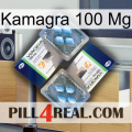 Kamagra 100Mg viagra5